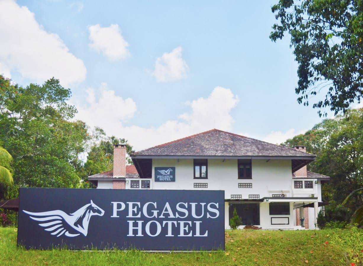 Oyo 104 Pegasus Hotel Singapore Buitenkant foto